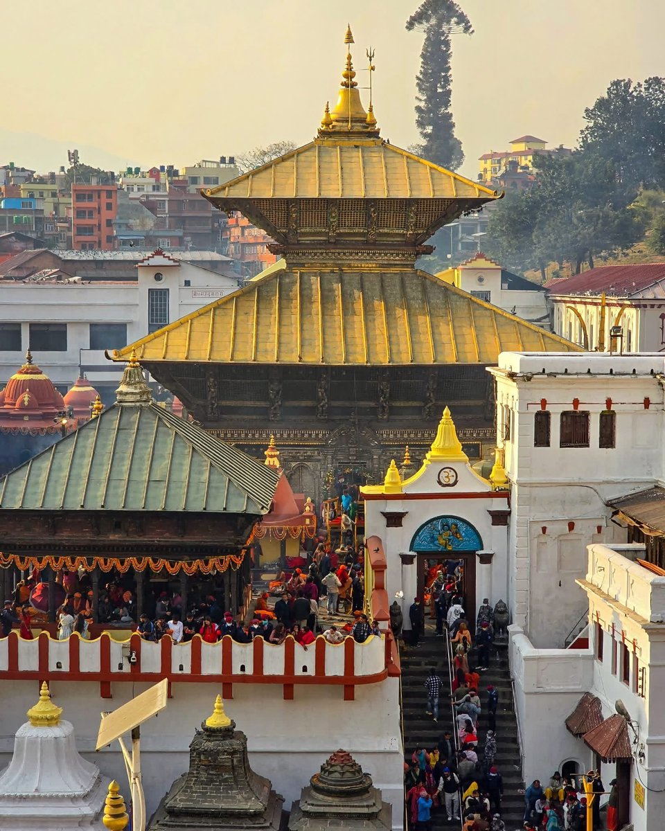 RONBupdates's tweet photo. हर हर महादेव: हिजो सोमबार पशुपतिनाथ मन्दिरमा १.५० लाखभन्दा बढी भक्तजनले दर्शन गरेका छन्। ❤️🙏🏻 https://t.co/4xHZU0dIHt