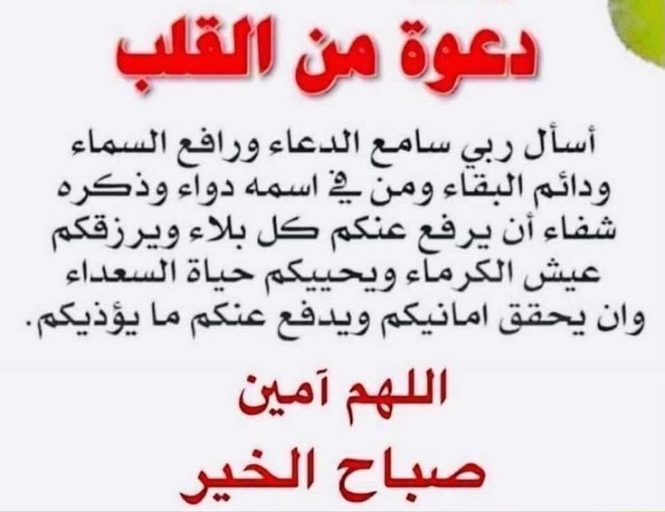 iiSaeedGh's tweet photo. https://t.co/8brwTKPYin