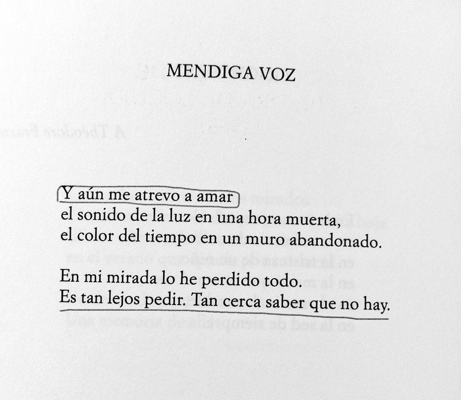 Ismaellg90's tweet photo. Pizarnik, ALEJANDRA. 🖤 https://t.co/fUakobehhj