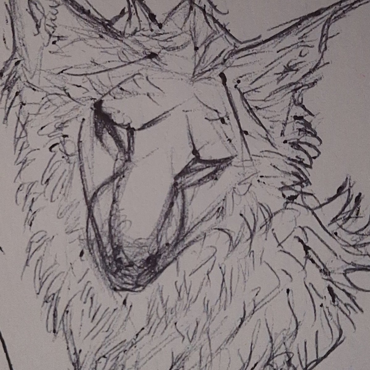Esbatsathame's tweet photo. #wolfart #wolfdrawings #wolfsketch #pencilart #pencilsketch #sketchbook #noaiart https://t.co/00pdBt8TG5