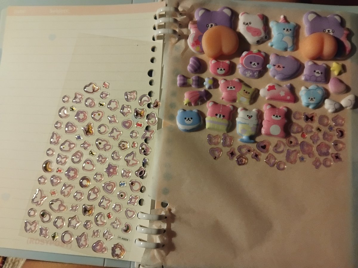onceuponabriar's tweet photo. When you cant find a sticker binder so you kinda just DIY https://t.co/luFRjrz8tz