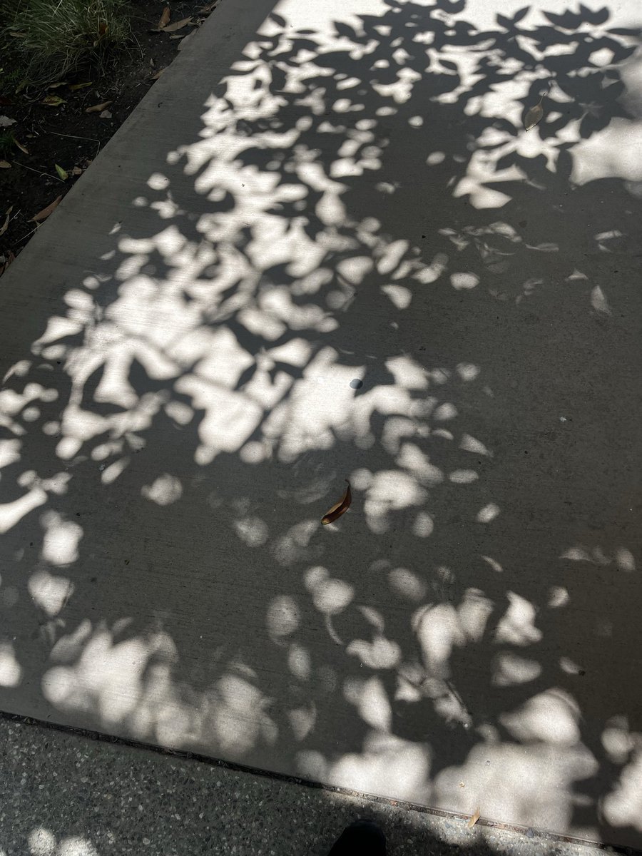 worsthatebaby's tweet photo. shadows https://t.co/1SHnNhiPPT