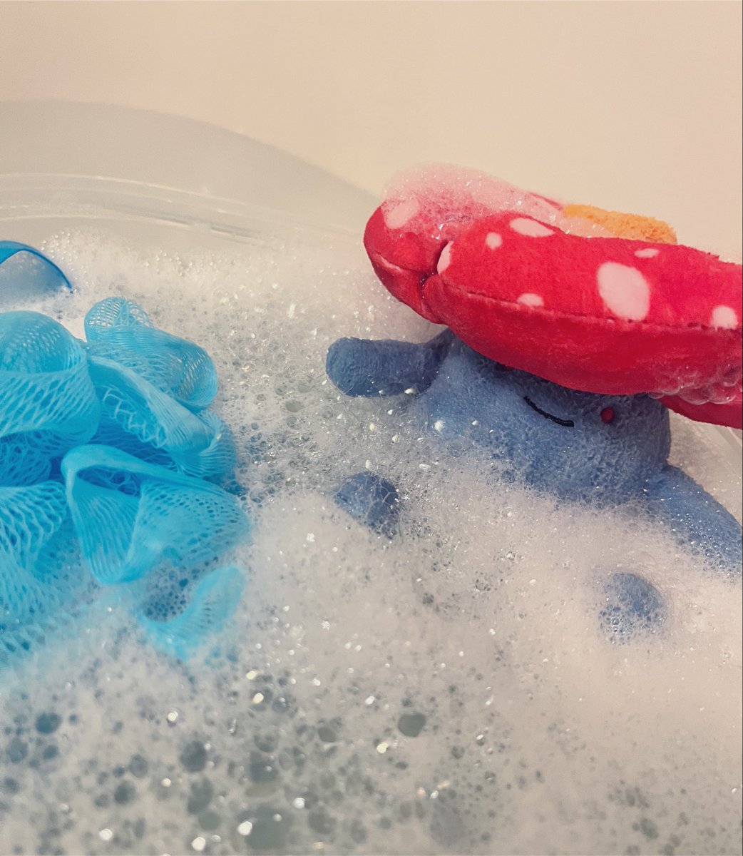 NopeyPosts's tweet photo. Bath day !! 🧼 🛁 https://t.co/AX6GQIF4EK