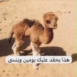 Ayatreides's tweet photo. Me because you couldn’t pay me to give a fuck about anything https://t.co/JuTJvx2AfX