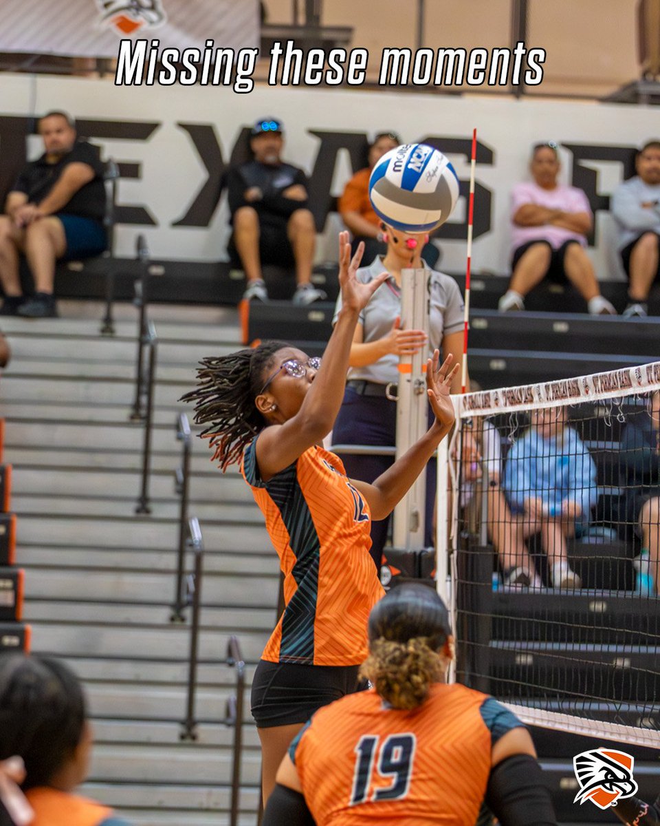 utpbfalcons's tweet photo. The wait makes the return even sweeter #MissingTheseMoments https://t.co/oFkwxvdcwd