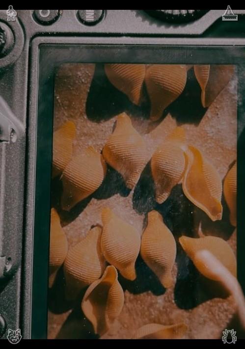ssso14s's tweet photo. Tender early-spring loquats are soft and succulent, carrying a subtle sweetness. They ripen amid the warmth of spring days, offering the year's first wave of seasonal fruity delight. Embrace unforeseen joys. https://t.co/1qvBoxKkc7