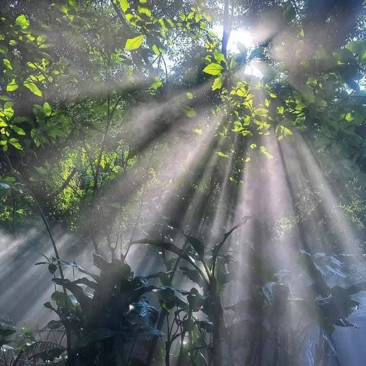 naturehealyou's tweet photo. a morning like this https://t.co/hzmEteUTrV