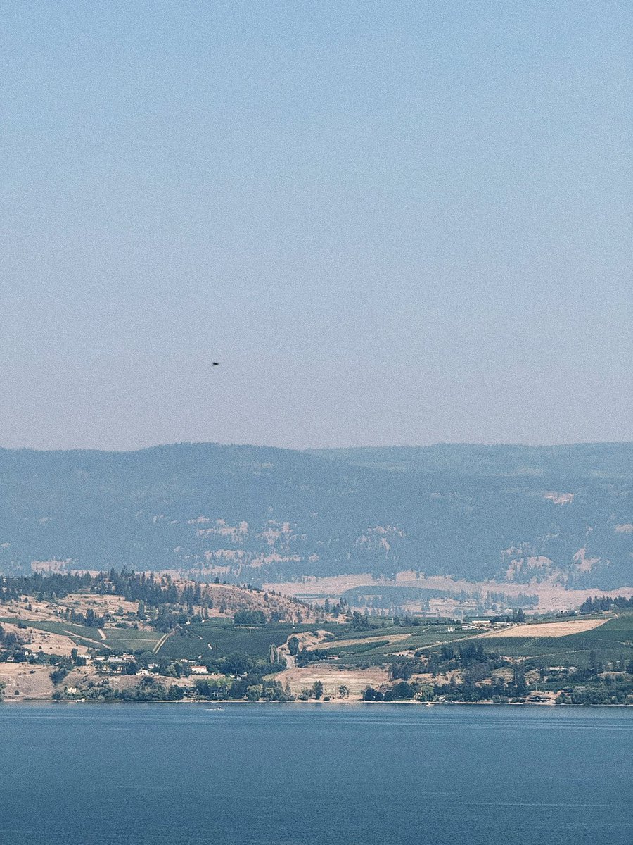 marijflors's tweet photo. Vineyards can function as natural or productive firebreaks, an established concept in fire-prone Mediterranean regions of Europes Spain, France, Portugal, and Italy, studied and promoted by FIRE-RES #FireWine 

#NapaValley #OkanaganValley #vineyard #BCVQA https://t.co/tGn8z4Gzvk https://t.co/lFLGp6dIDh