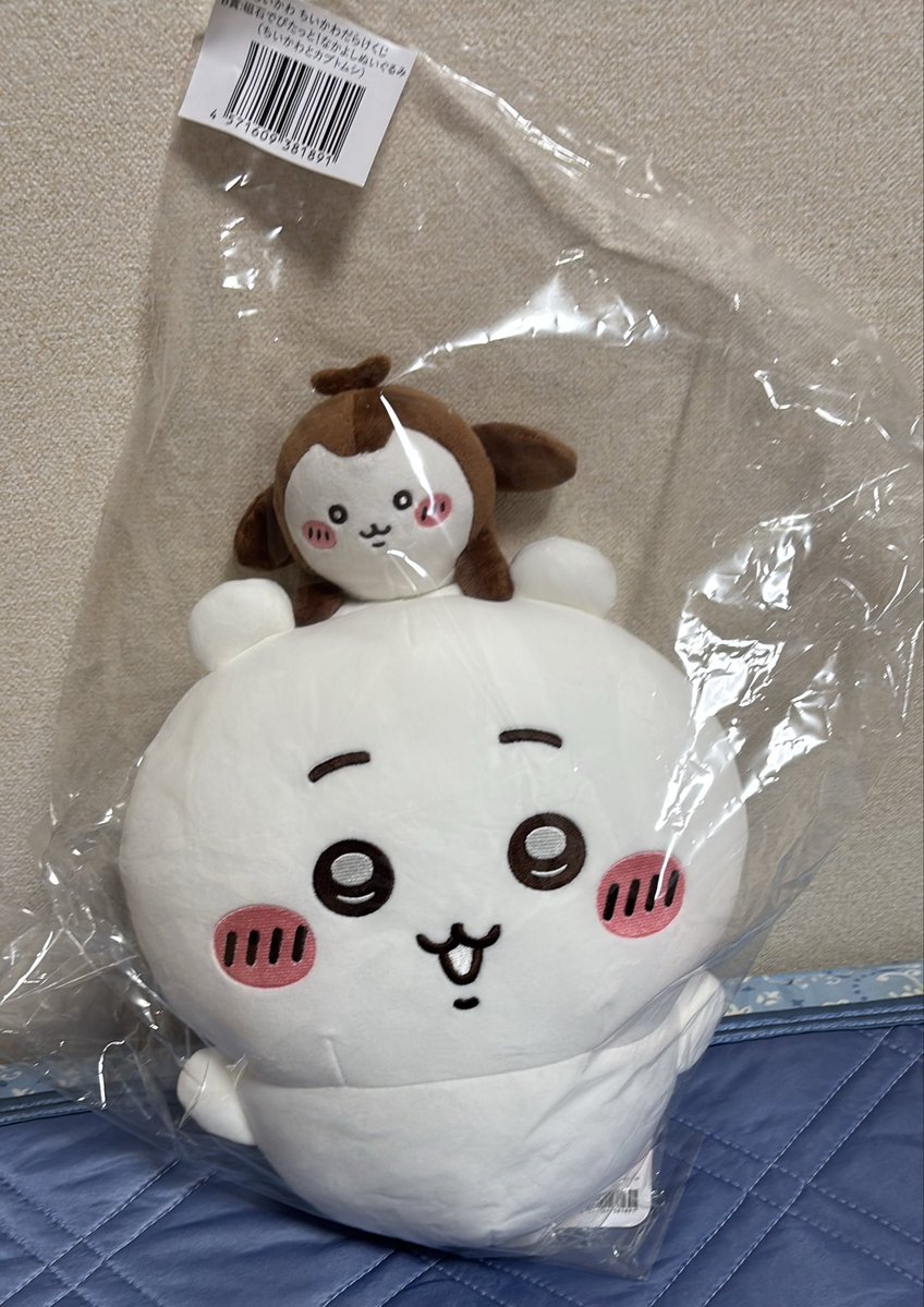 muon0704's tweet photo. ちいかわだらけくじ3回だけ引いて狙ってたB賞が届いて可愛くてハッピー https://t.co/nGHzrwEzGn