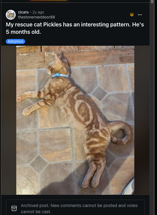 ithinkimsic's tweet photo. S◎L CAT IS AT 800K BUT I FOUND THE REAL NAME OF THE CAT ON REDDIT 

THIS REDDIT POST FROM 2 YEASRS SAYS THE NAEMS I PICKLES THATS WAY MORE BULLISH https://t.co/vOUx2GD4nj https://t.co/NjDqjXVVCg
