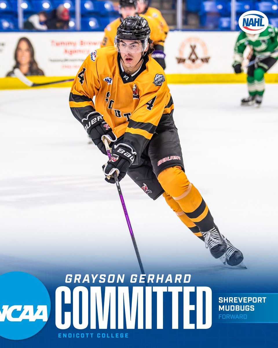 NAHLHockey's tweet photo. #NAHL Commitment Alert: @SHVMudbugs forward, Grayson Gerhard, has committed to play NCAA hockey for Endicott College.

📰: https://t.co/4Mq9TSXQHV
#CollegeReady https://t.co/Uc2LTiRv2T