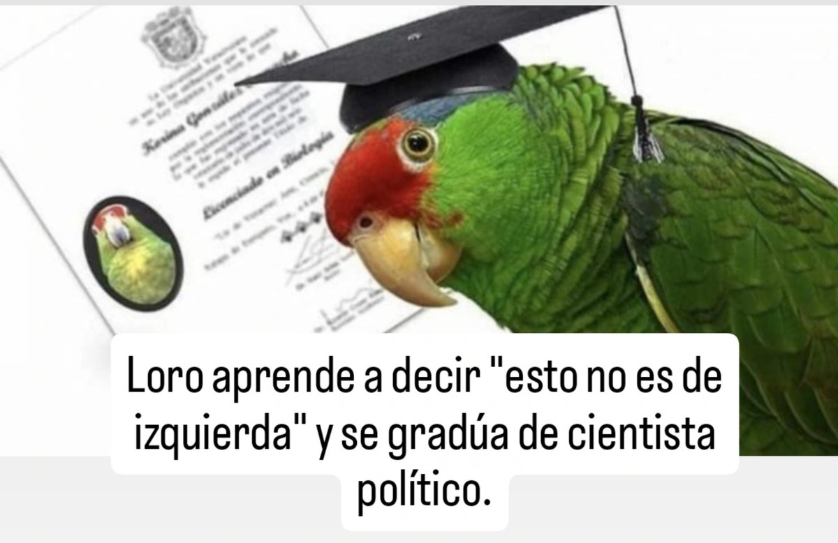 tobalandree's tweet photo. https://t.co/BTqzvJuCJS