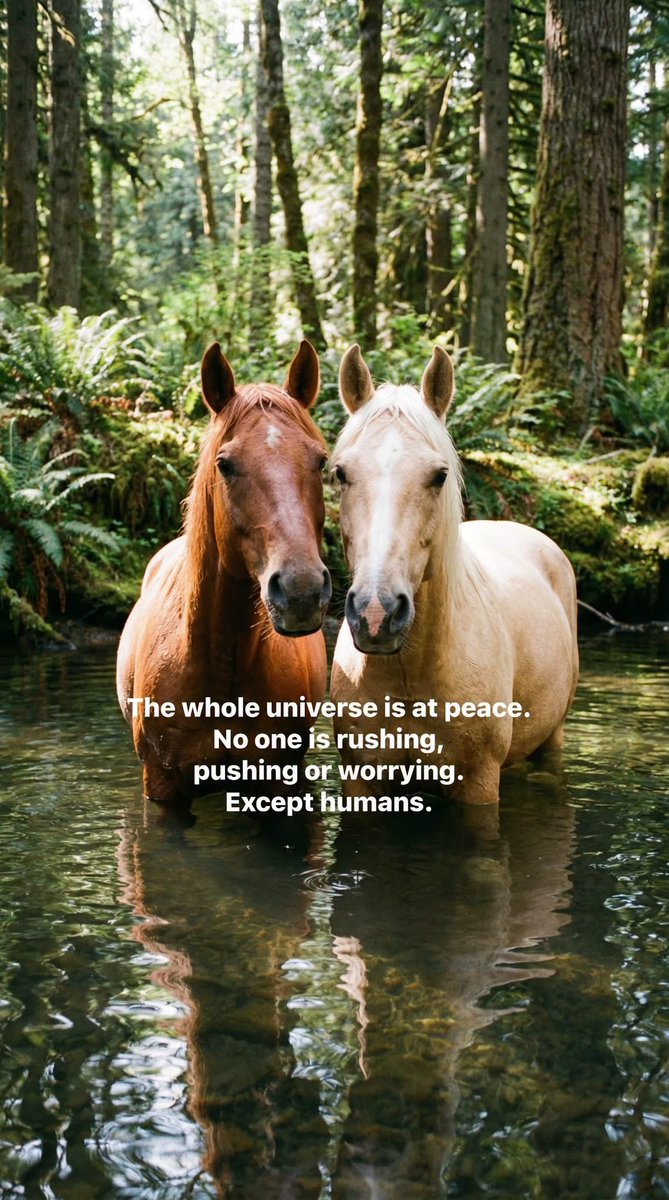 RichardButterw4's tweet photo. https://t.co/6oeTG6UJAG @equine_salt https://t.co/JiBCVpqX7z