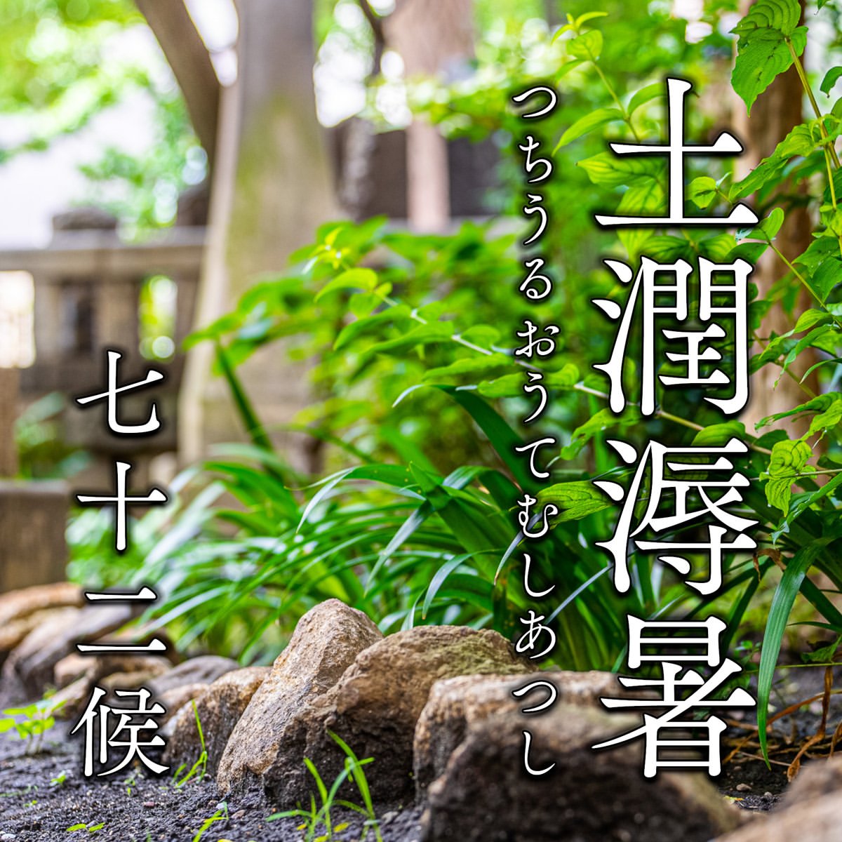 onoterupr's tweet photo. 本日より #七十二候 「土潤溽暑（つちうるおうてむしあつし）」

溽暑（じょくしょう）とは湿気が多く、蒸し暑くなる時季💦

感染症の隆盛も併せて不快指数も上がりますが、それぞれに納涼を納められ、心身共に健やかにお過ごしください🙂 https://t.co/KwMKXByeUl