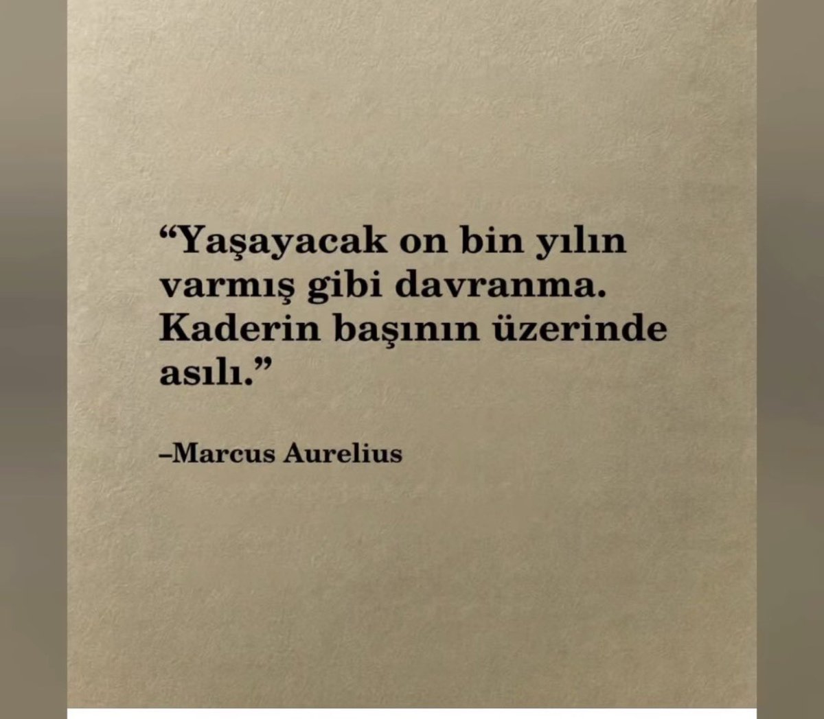 serokkilic's tweet photo. https://t.co/nAKeTdEZbh