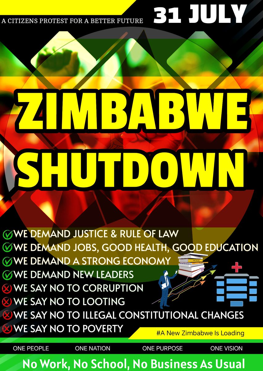 Zimbabwe2025's tweet photo. @SandileMakeba 31 July we say no to this nonsense #31JulyChakachaya https://t.co/dYbPJALGLh