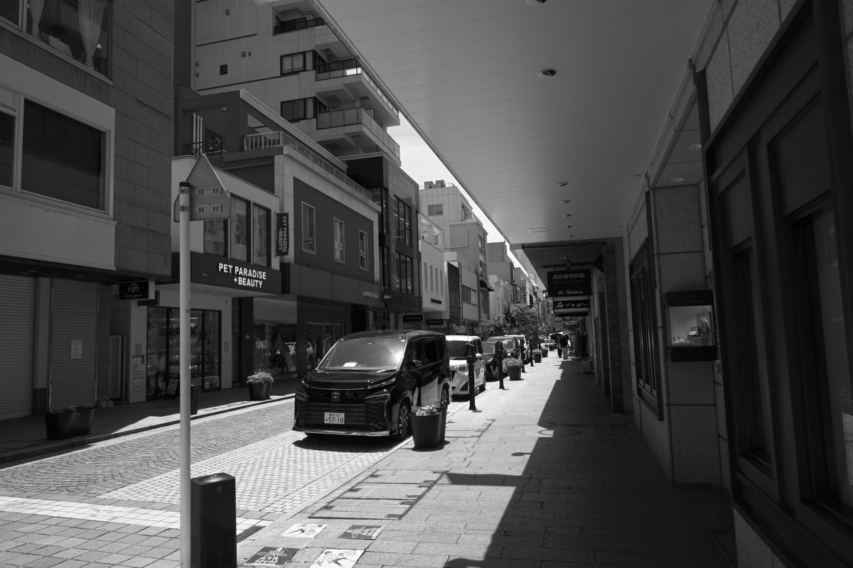 ことら2009 tweet media