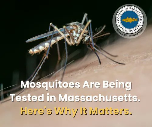 Barnstable County Government tweet media
