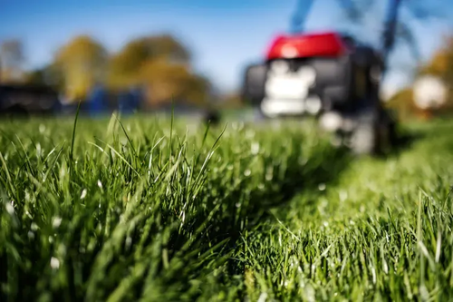 stephsells757's tweet photo. Having a trim lawn can add curb appeal to your home and create the perfect space for outdoor games during the summer months. But if your lawn mower blades get ragged, dull, or bent, they won’t cut grass properly and can cause a patc https://t.co/lVI3kzNQTN https://t.co/CNUXEIUGbP
