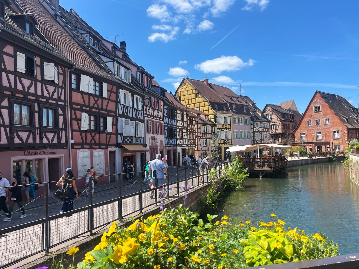 tmargaux_'s tweet photo. colmar strasbourg et rouen en haut du classement comment ne pas être d’accord franchement https://t.co/6l6dQCjXIw