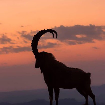 Realibexcoin's tweet photo. 🌙 Goodnight from $REAL.

Rest up, recharge, and get ready for another day of building something bigger together.

Every strong community is built one day at a time—and we’re just getting started.

Sleep well, REAL fam. 💙

#REAL #Solana #Memecoin #CryptoCommunity https://t.co/yThi8L5Vtv