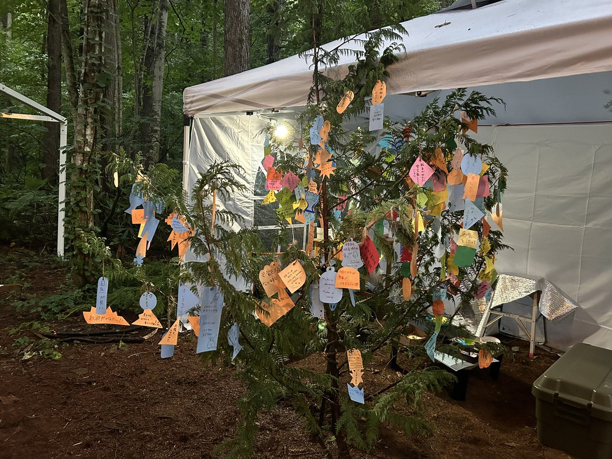 kellohitty118's tweet photo. フジロックお疲れ様でした。
ポエトリーツリーはこんなに育ちました🌲

#フジロック2026 
#ポエトリーツリー https://t.co/HzeHitm3dz
