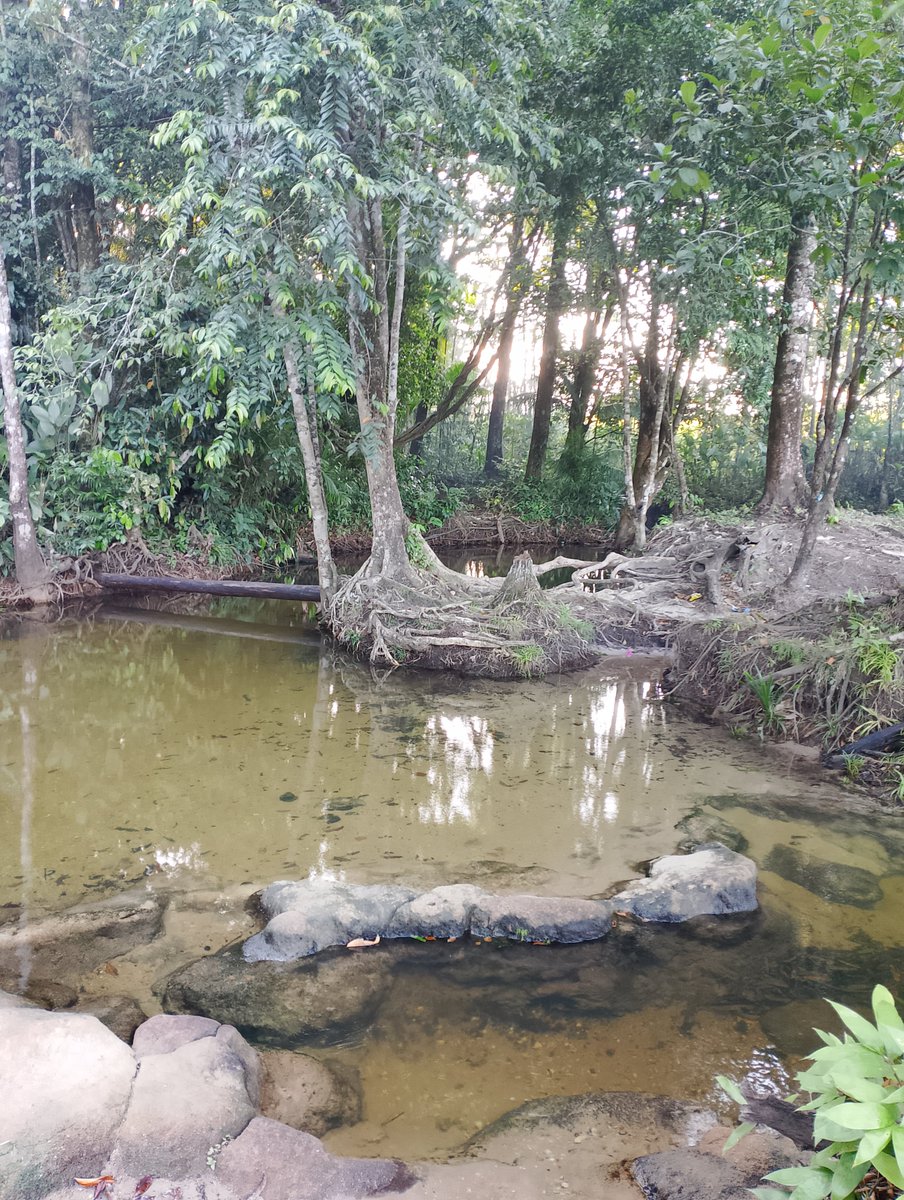 arqt_rodri's tweet photo. Os cantinhos que eu encontro nas minhas andanças, qualquer dia eu pego o carro e venho aqui tomar banho https://t.co/BTpzcUXVR9