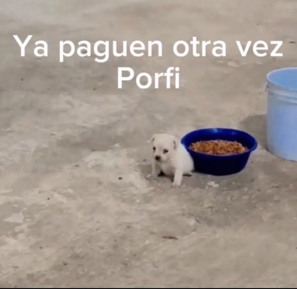 Guarromantico_'s tweet photo. Ya paguen. https://t.co/nYx822k4xX