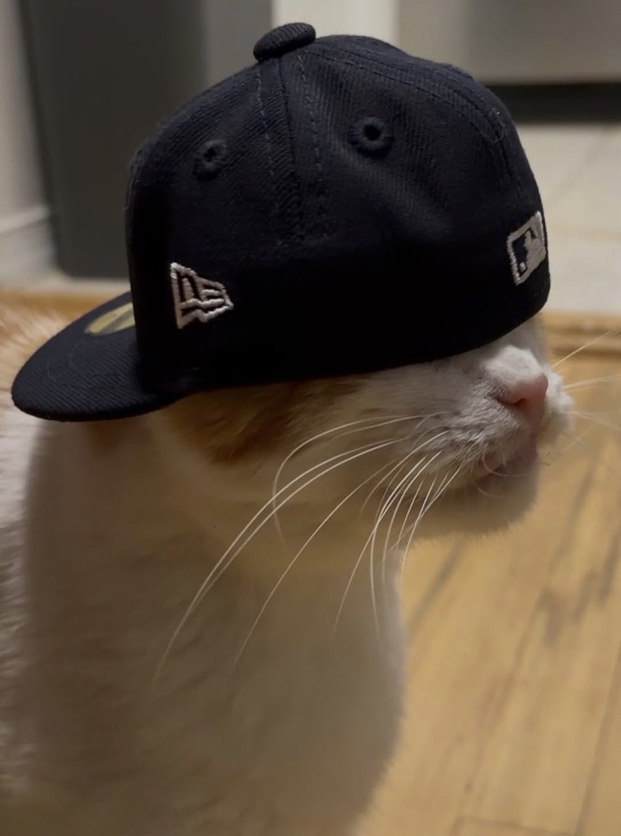 DonovanStrain's tweet photo. @baseballcontext Mine rocks his like Griffey https://t.co/463pzWmKIK