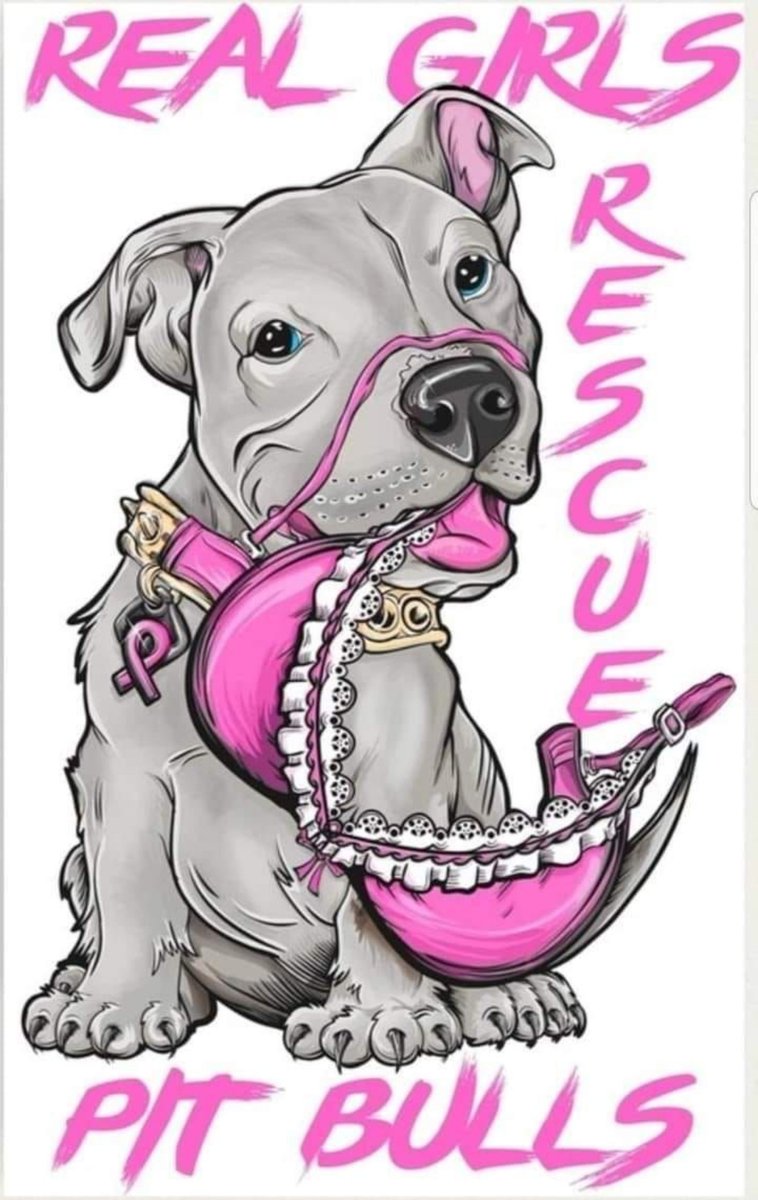 k9model1's tweet photo. Exclusive Hot Dog knotting contents on my telegram link below 👇 ⬇️ 
https://t.co/AZJ6gk5LcU

#Beastiality #Dogknott #dogknotting #k9
#Taboocontent #Dogknottqueen #zoopride #germany� #nsfwtwtًً
#zoosarevalid #zoophillia #zoophilist https://t.co/29Z8QHOQbM