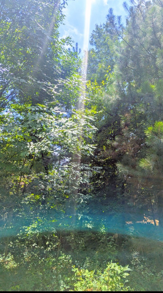 krystallineaura's tweet photo. Yesterday I mentioned high voltage energy that would give to outages. Several cell phones companies went down today for service. T mobile users also experienced SOS messages. Please know this is nothing to worry about and yes it can be inconvenient. Also two ai companies had issues 😂 The force of God is been seen glitching their dark networks and towers. In shamanism towers are black magic. So I will always have humor when they glitch and why I let you all know what's incoming for the energy. More glitches will be coming just like today and in various ways. Keep your frequency up to anchor light without overwhelming your nervous system!