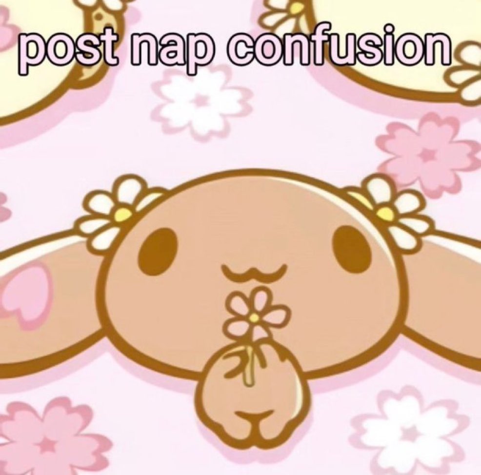 daiIysanrio's tweet photo. https://t.co/Jora6fG3Dk
