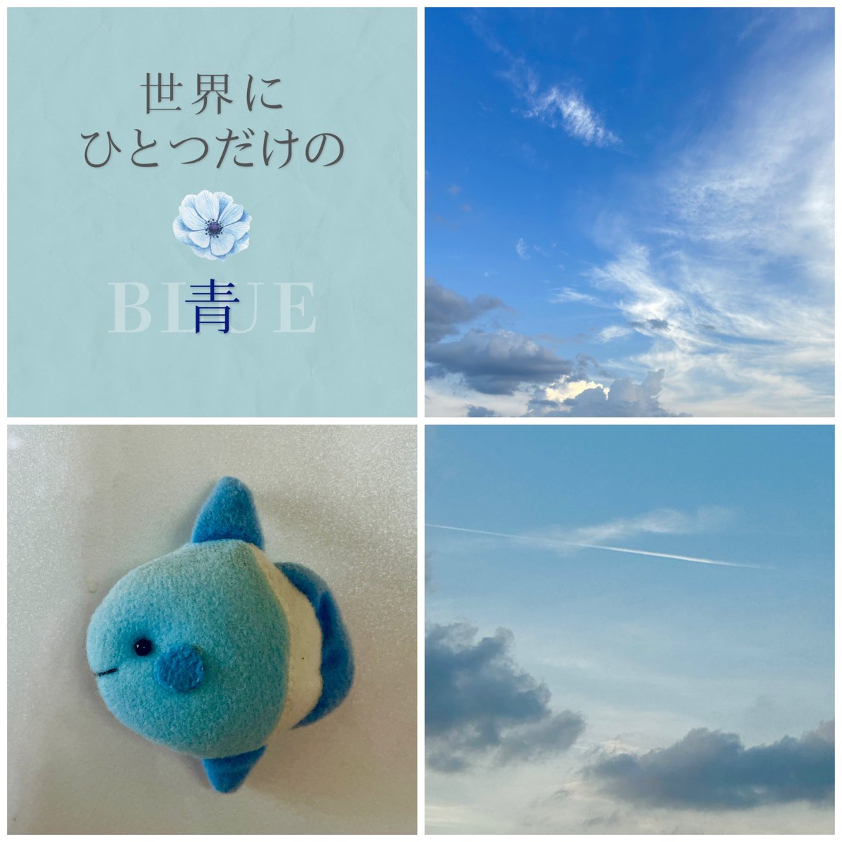専用ページ マンボウ様8/15 夜空とらいおん🐬🗝のんびり⭐️ on X: 