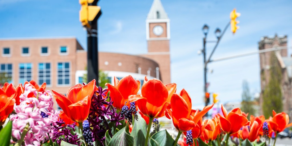 CityBrampton's tweet photo. Service and Information Update ℹ️ 

Civic Holiday is Monday, August 3. Most City of Brampton offices, including City Hall, will be closed for the holiday. 

🚒 Essential and critical services will continue as usual. 
⚽ Select recreation centres will be open with modified holiday hours. There will be no registered programs on Monday, August 3. 
📖 All @BramptonLibrary branches will be closed on Sunday, August 2 and Monday, August 3. 
🐾 The Brampton Animal Shelter will be closed on Monday, August 3. Animal Services officers will continue patrol and emergency response. 
🚍 @BramptonTransit will operate on a Sunday/Holiday schedule on Monday, August 3.  
☀️Check out @Exp_Brampton for ways to enjoy the Civic Holiday long weekend across Brampton.
🚫 Under the fireworks by-law, fireworks are not permitted in #Brampton, including during the Civic Holiday. 

Need support? Contact 311 anytime at https://t.co/nfCKNpY1b4 or call 3-1-1. 

Here’s what you need to know🔗: https://t.co/AN5K0SXeBJ