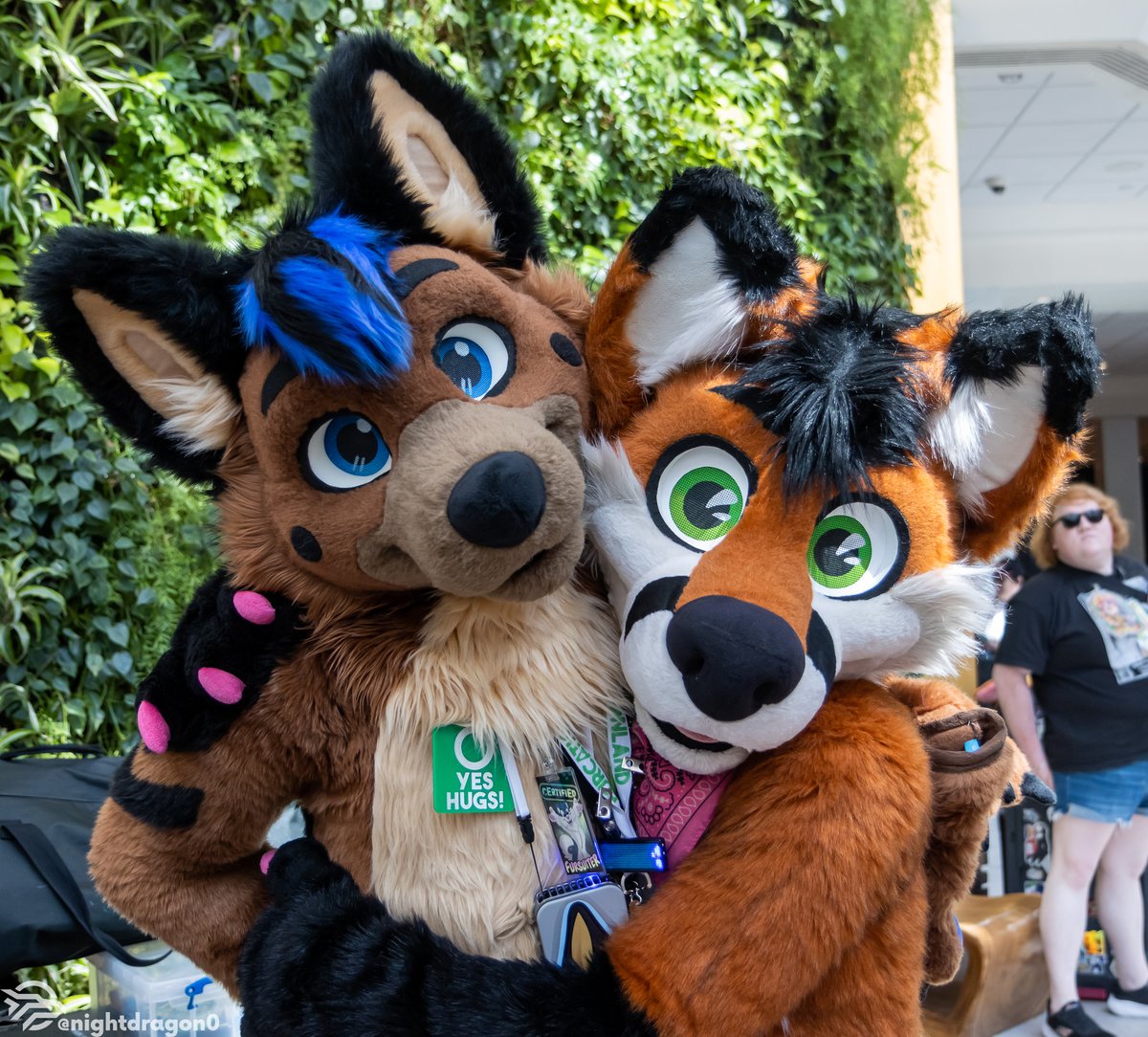 anthrocon's tweet photo. 📝 It's the last day to submit an Attendee Survey form (emailed to 2026 attendees on July 9)! Help us improve in the right direction!

🖥️ Our team's hard at work planning 2027, and info will be announced on website/socials once available!

📸 Nightdragon #FursuitFriday https://t.co/RkbJFiyrwp
