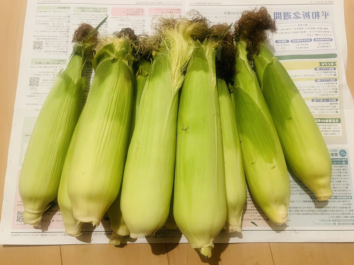 gusarinco's tweet photo. 朝もぎとうきび
20時には届いて
おいしくお腹におさまりましたー☺️ https://t.co/2V1Eihe6uU