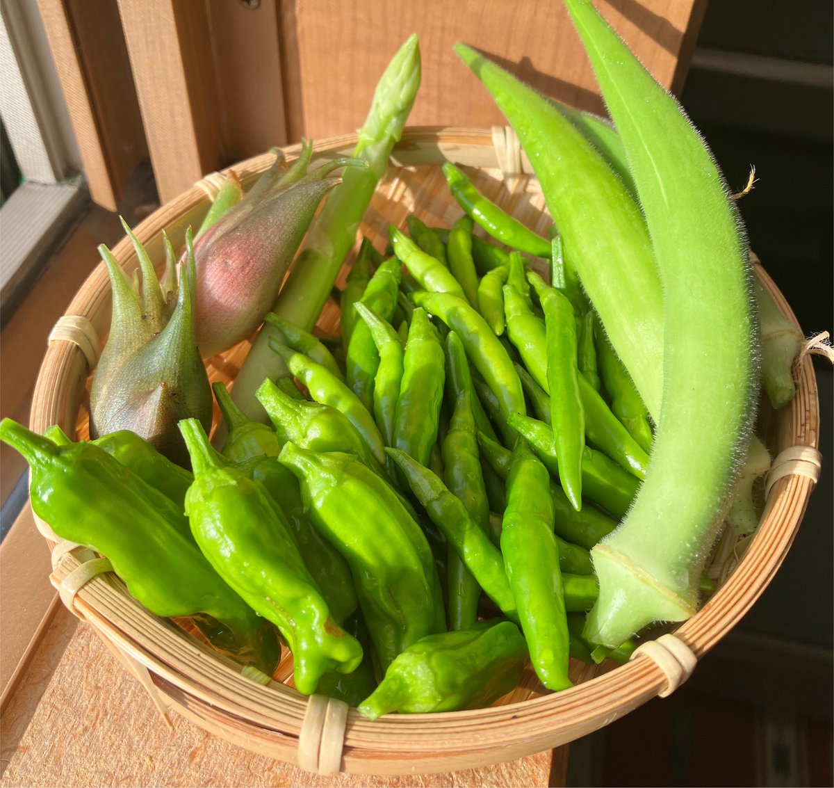 honeta3356's tweet photo. おはようです☀️
2時から起きてる😇
今日は休みで朝から野菜を収穫！
かなり採れて嬉しい(茗荷･青唐辛子･龍髭菜･獅子唐･陸蓮根)🥰
唐辛子赤くなって来てる！🌶
 #家庭菜園 
 #野菜 
 #友達募集 https://t.co/KmlAgtsOzd