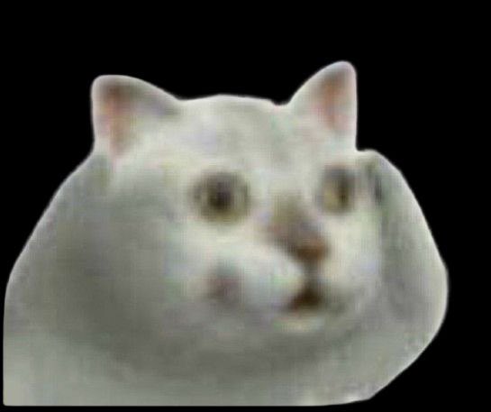 IdkCatRobinhood's tweet photo. Do we know this cat? https://t.co/t7GOnXidjv