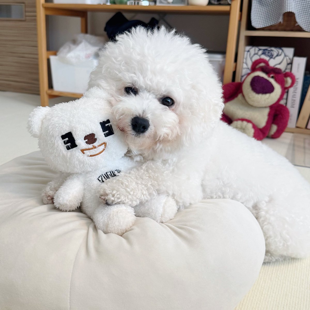 29ne____'s tweet photo. 眠そうな顔で神ポージングしてくれてた https://t.co/kpYVRANpv0
