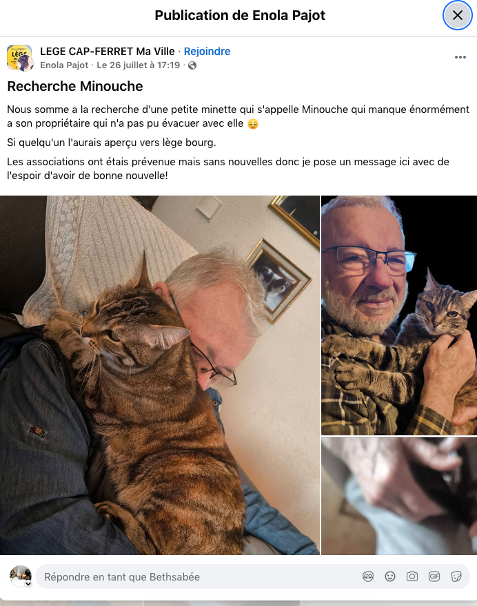 _BethsabeeB_'s tweet photo. Lège Cap Ferret: Minouche est perdue. il faut la diffuser, qu'elle soit retrouvée. https://t.co/vQPrUK31rW