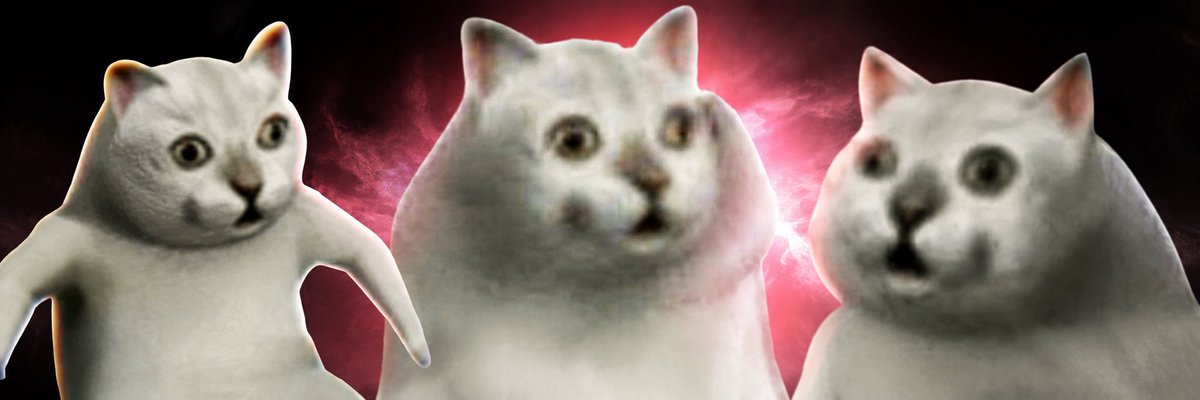 IdkCatRobinhood's tweet photo. Idk cat on Robinhood https://t.co/1M80hEiyMm