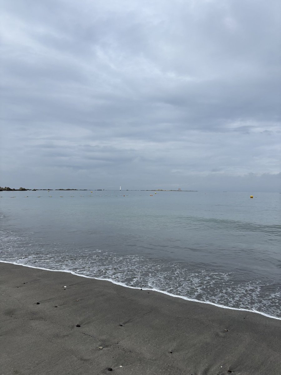hello_hayama's tweet photo. グッドモーニング葉山。
火曜日は、曇り。風はない。
比較的涼しい朝、
波の音と蝉の声、夏のハーモニー。
月末、いろいろやらなきゃ。
今日は足早に、一歩、一歩。

#ハロー葉山 https://t.co/AqjkR5tsdC