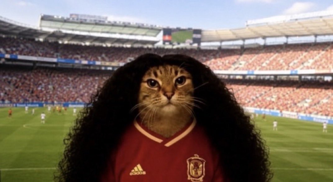 _los_car's tweet photo. @cucurella3 https://t.co/p7Tf0Hs32U