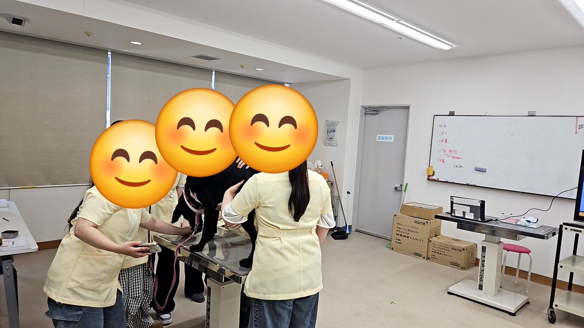 Kap_kobe's tweet photo. こんにちは！動物看護師学科です💉

生命科学科　ドッグスペシャリストコースの学生も看護実習を行います！

詳しくはプロフィールURLのホームページへ

#神戸動植物環境専門学校 #kap #看護実習 https://t.co/rpQ1kQwK0s