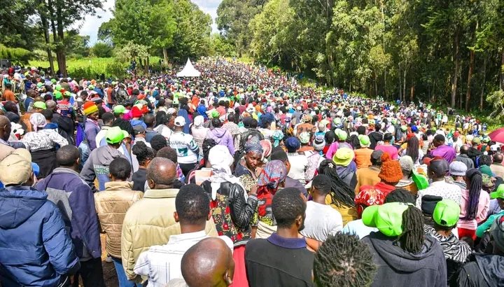 SwatEscort's tweet photo. Mugumo Day. 

An ordinary monday morning at my Mugumo Residence. 

We shall celebrate the olkalou win forever. https://t.co/KFwoIzaiNz