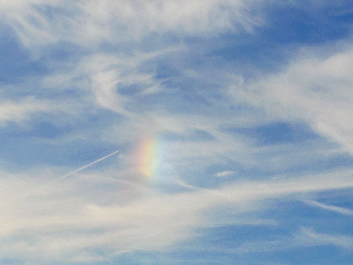 toshi_k7070's tweet photo. 朝から珍しいものが🌈
幻日？ https://t.co/Gsd4pVH1oE