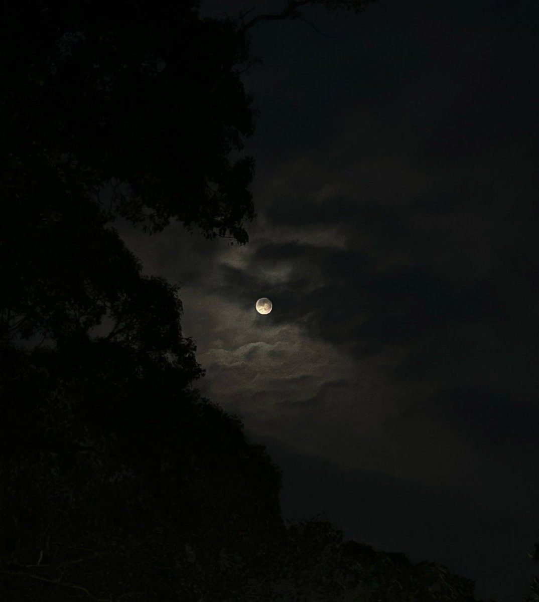 UnsenExistence's tweet photo. The July 14 full moon https://t.co/VJJrNGhniD