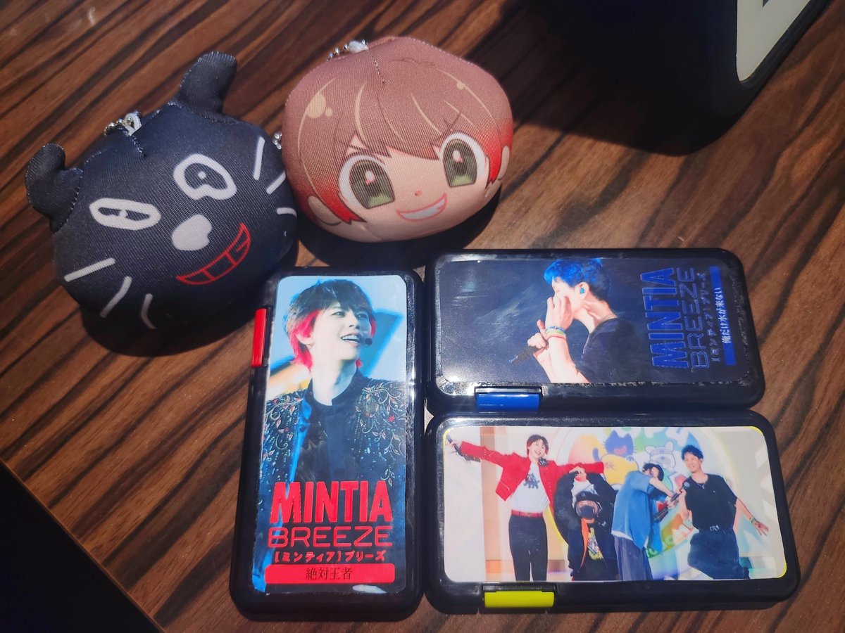 ra7yo_ki's tweet photo. 推しミンティア可愛すぎた(՞o̴̶̷̤ ̫ o̴̶̷̤՞)
当分ミンティアには困らないかも笑
 #ミンティア  #推しミンティア https://t.co/uznXPZoupv