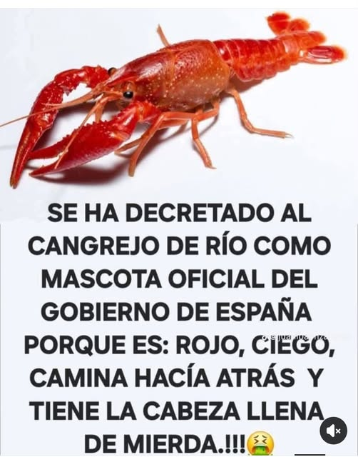 Rober_Alcaz's tweet photo. Totalmente de acuerdo. Creo que se entiende perfectamente. Los rojos progres igual no lo entienden, pero con eso ya contaba.
¡¡A.T.P.C. los rojos!! https://t.co/aG3nUYFJ54