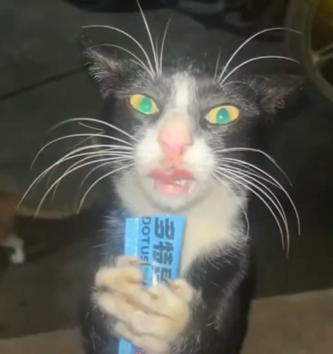 abiyequzu's tweet photo. Mekanda dijital kamerasini masaya koyup bi de flashli cekelim yaa🥺🥺 diyen kiza verdigimiz face card https://t.co/XML3stnemG